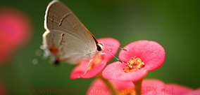 免费ddos压力测试平台
