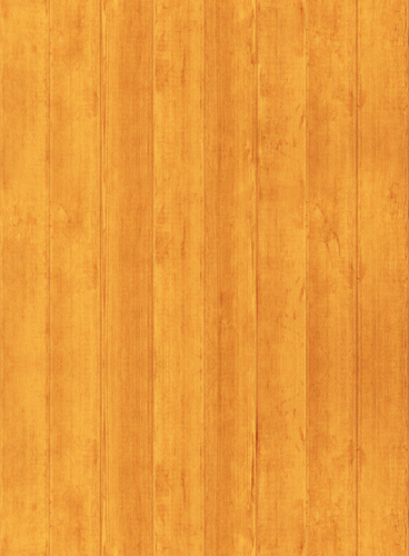 Web漏洞扫描工具